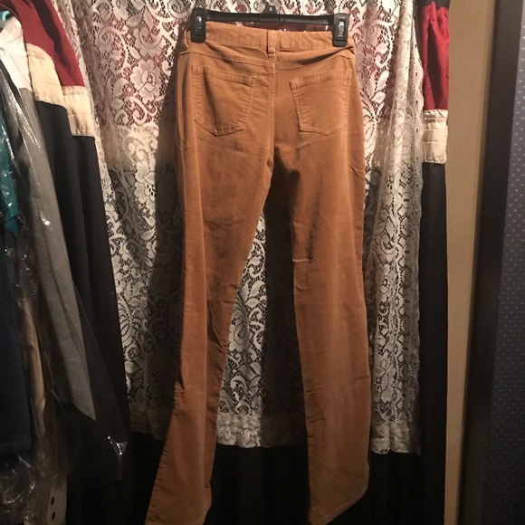 Corduroy - Picture 2 of 4